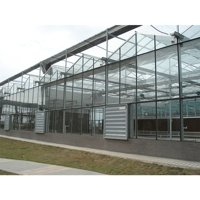 Customizable Multi Span Greenhouse With Side Vent And Roof Height 3.73M