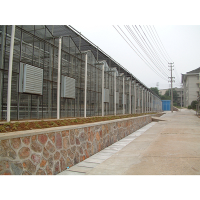 Glass Covered Industrial Greenhouse with 3.73-7.73m Roof Height and Glass Panels