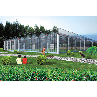 3-7m Shoulder Height Galvanized Steel Frame Commercial Glass Greenhouse for Flowers
