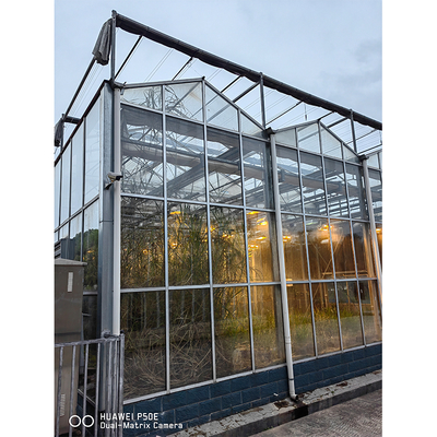 IGREEN Agricultural Venlo Glass Greenhouse  to Grow Flowers and Seedlings