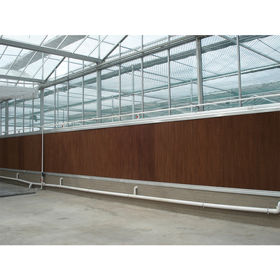 Glass Covered Industrial Greenhouse with 3.73-7.73m Roof Height and Glass Panels