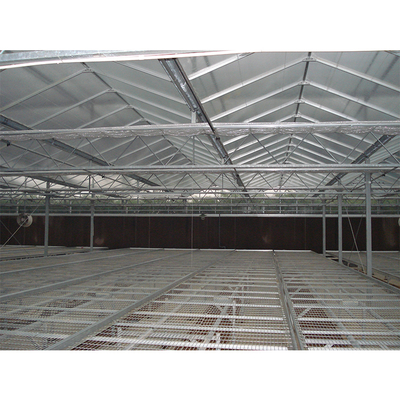 Steel Flame Multi Span Greenhouse Commercial Glass Greenhouse With Winter Cover And Hydroponic System