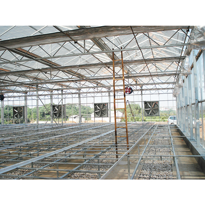 IGREEN Agricultural Venlo Glass Greenhouse  to Grow Flowers and Seedlings