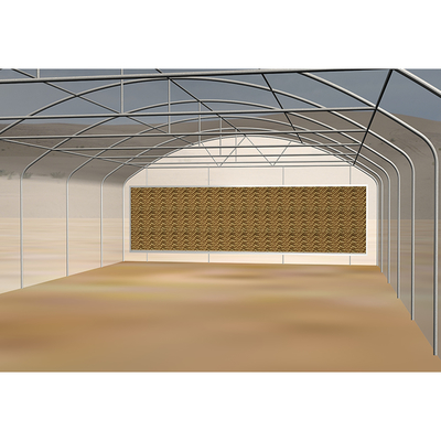 PE Cooling System Agricultural Greenhouse Flower Growing Galvanized Steel Greenhouse