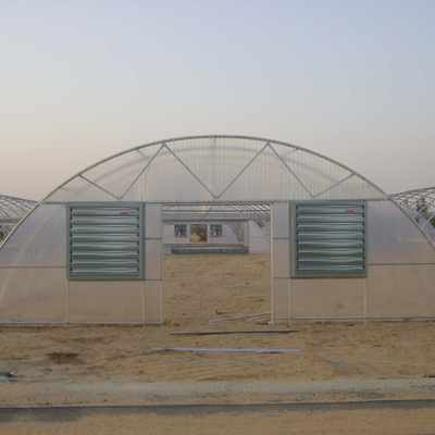 Customize Agricultural Greenhouse Poly Film Greenhouse For vegetable growing