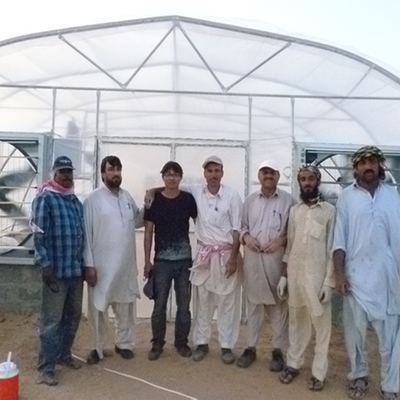 PE Cooling System Agricultural Greenhouse Flower Growing Galvanized Steel Greenhouse