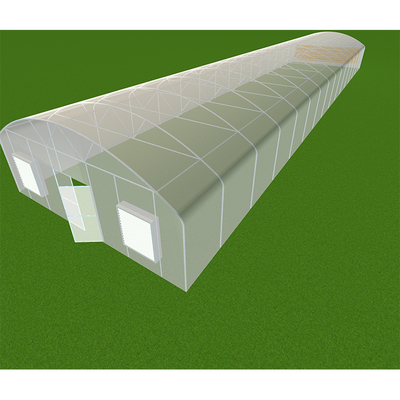 PE Cooling System Agricultural Greenhouse Flower Growing Galvanized Steel Greenhouse