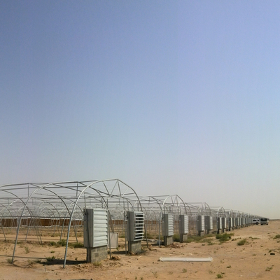 PE Cooling System Agricultural Greenhouse Flower Growing Galvanized Steel Greenhouse