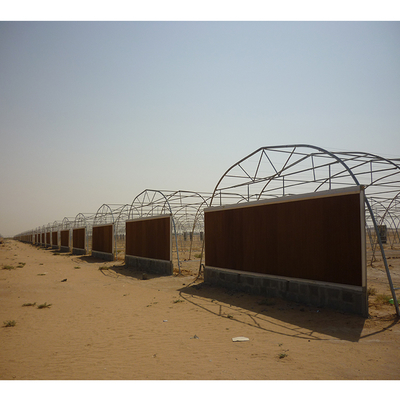 PE Cooling System Agricultural Greenhouse Flower Growing Galvanized Steel Greenhouse