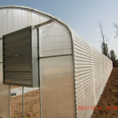 5m Roof Height Single Span Greenhouse Smart Chinese Style Greenhouse