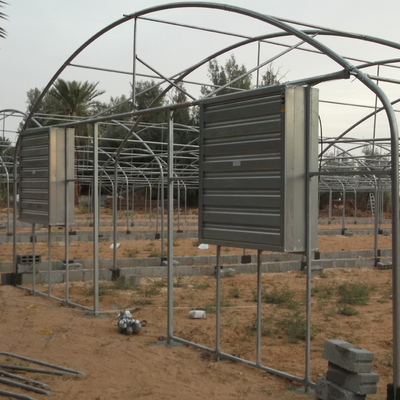 10m Width Tunnel Light Deprivation Greenhouse Single Layer With Galvanized Steel Pipe