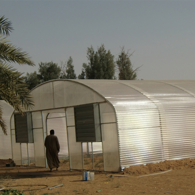 10m Width Tunnel Light Deprivation Greenhouse Single Layer With Galvanized Steel Pipe