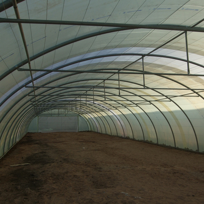 Agricultural Single Span Greenhouse Flowers And Vegetables Poly Film Greenhouse