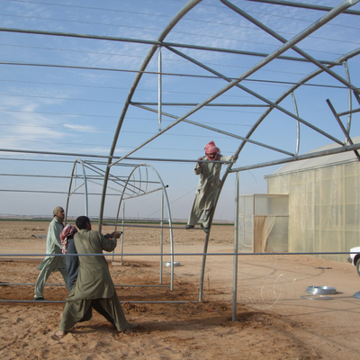 48mm/58mm Pipe Diameter Metal Frame Greenhouse for Vegetable at a Budget-Friendly