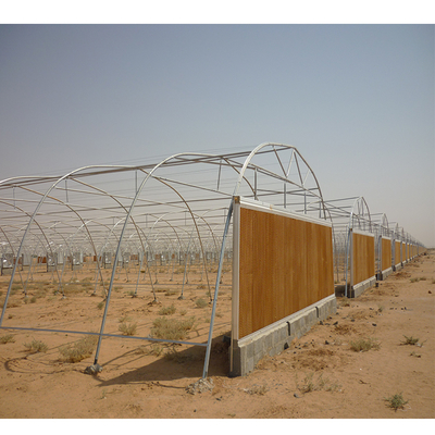 48mm/58mm Pipe Diameter Metal Frame Greenhouse for Vegetable at a Budget-Friendly
