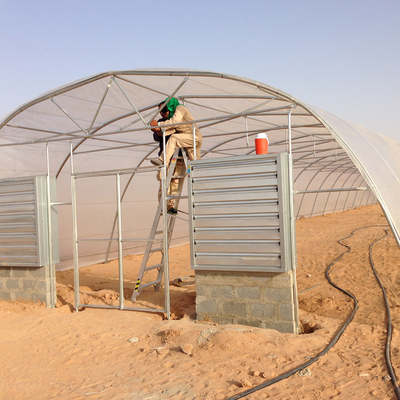 48mm/58mm Pipe Diameter Metal Frame Greenhouse for Vegetable at a Budget-Friendly