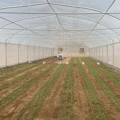 5m Roof Height Single Span Greenhouse Smart Chinese Style Greenhouse