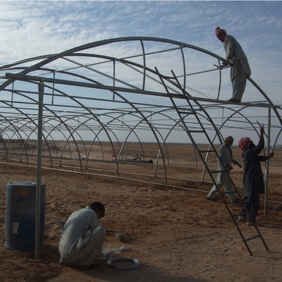 10m Width Tunnel Light Deprivation Greenhouse Single Layer With Galvanized Steel Pipe