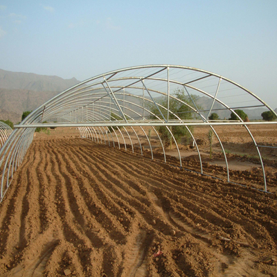 10m Width Tunnel Light Deprivation Greenhouse Single Layer With Galvanized Steel Pipe