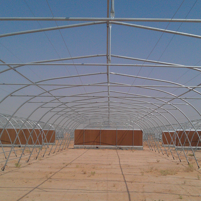 10m Width Tunnel Light Deprivation Greenhouse Single Layer With Galvanized Steel Pipe