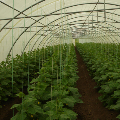 Agricultural Single Span Greenhouse Flowers And Vegetables Poly Film Greenhouse