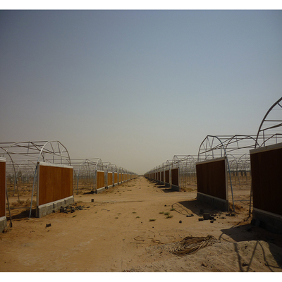 150micron Metal Frame Greenhouse Plastic Film Covering For Desert Rose