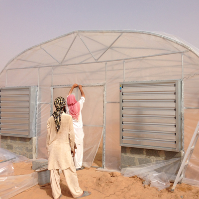 150micron Metal Frame Greenhouse Plastic Film Covering For Desert Rose