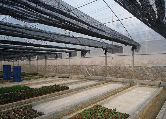 Commercial Vegetable Greenhouse Kits With Rain Gutter And Large Zinc Coating 275gsm