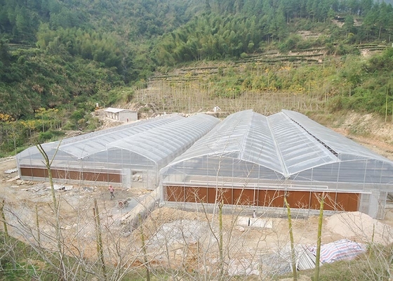 Commercial Vegetable Greenhouse Kits With Rain Gutter And Large Zinc Coating 275gsm