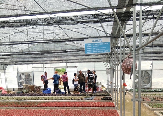 S Hot Dipped Galvanized Steel Structure Greenhouse for Agricultural Vegetable