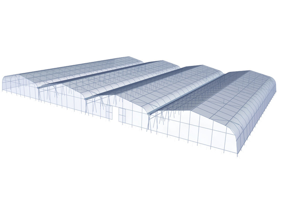 10m Tunnel Width Multi Span Greenhouse Steel Pipe Greenhouse For Hydroponic System