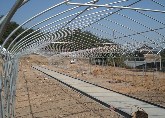 Film Surface Material Multi-Span Agricultural Greenhouses IGreen Greenhouse