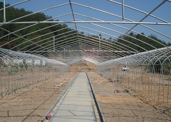 Film Surface Material Multi-Span Agricultural Greenhouses IGreen Greenhouse