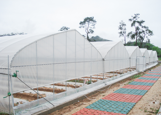 Film Surface Material Multi-Span Agricultural Greenhouses IGreen Greenhouse