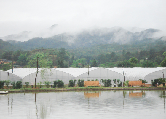 Film Surface Material Multi-Span Agricultural Greenhouses IGreen Greenhouse