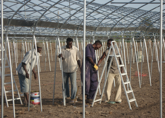 WL8132X Single Greenhouses Agricultural Plastic Film Panels 7-10m