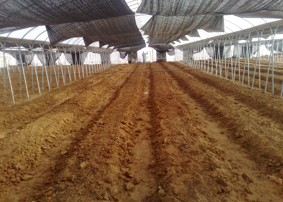 WL8132X Single Greenhouses Agricultural Plastic Film Panels 7-10m