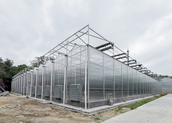 IGreen Polycarbonate Greenhouse Panels for Flowers and Vegetables Customized Length