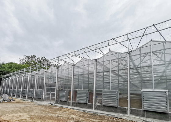 IGreen Polycarbonate Greenhouse Panels for Flowers and Vegetables Customized Length