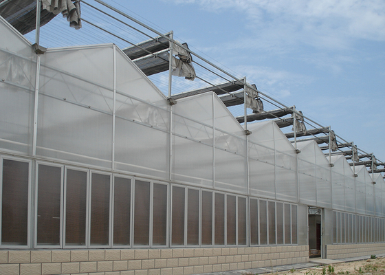 Customized Poly Tunnel Greenhouse Multi Span Agricultural polycarbonate tunnel greenhouse
