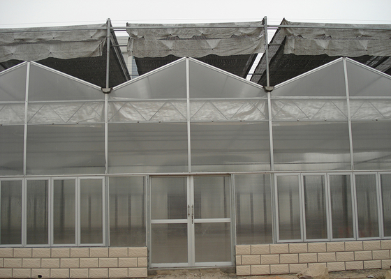 Customized Poly Tunnel Greenhouse Multi Span Agricultural polycarbonate tunnel greenhouse