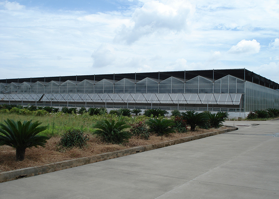 IGreen PC Board Greenhouse Multi-Span Agricultural Greenhouses with PC Sunshine Board Panels