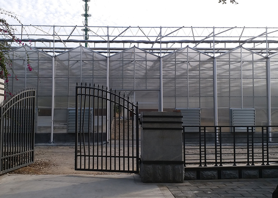 IGreen PC Board Greenhouse Multi-Span Agricultural Greenhouses with PC Sunshine Board Panels