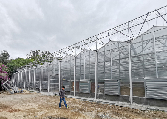 IGreen PC Board Greenhouse Multi-Span Agricultural Greenhouses with PC Sunshine Board Panels