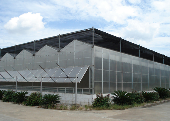 Customized Polycarbonate Sheet Greenhouse For Year Round Flower And Vegetable Growth