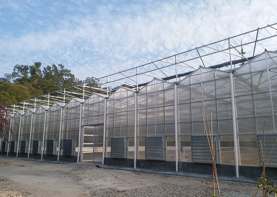 Commercial Polycarbonate Greenhouse with 3--7 Meter Roof Height and Customized PC Sheet