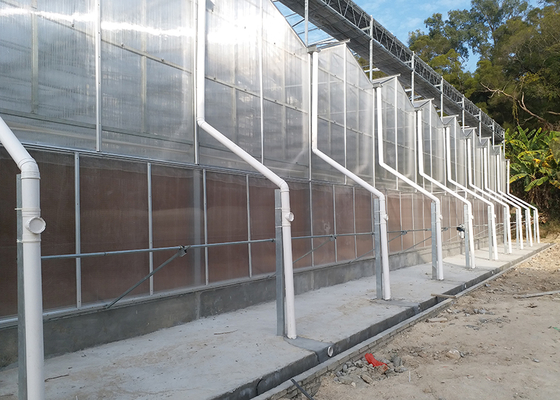 Commercial Polycarbonate Greenhouse with 3--7 Meter Roof Height and Customized PC Sheet