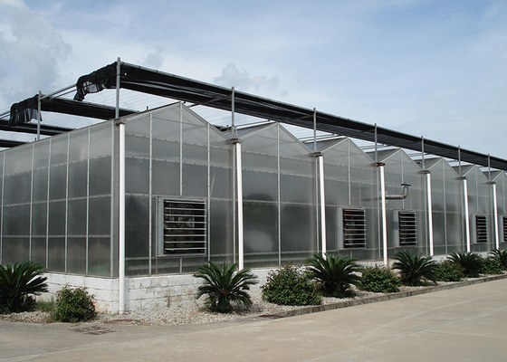 Commercial Polycarbonate Greenhouse with 3--7 Meter Roof Height and Customized PC Sheet