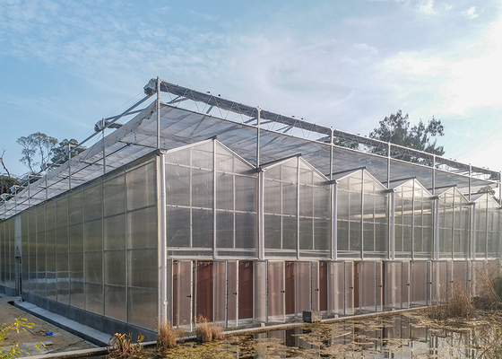 Commercial Polycarbonate Greenhouse with 3--7 Meter Roof Height and Customized PC Sheet