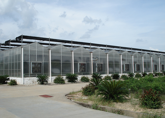 Customized Polycarbonate Sheet Greenhouse For Year Round Flower And Vegetable Growth